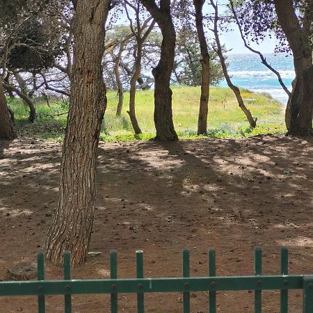 Fronte Pineta Mare Rivabellaアパートメント エクステリア 写真