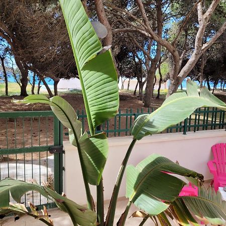 Fronte Pineta Mare Rivabellaアパートメント エクステリア 写真