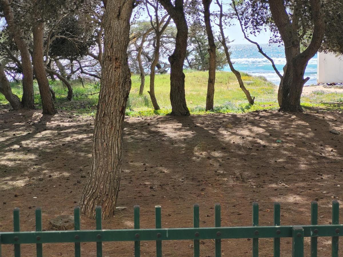 Fronte Pineta Mare Rivabellaアパートメント エクステリア 写真